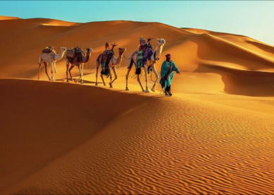 صور صحراء ليبيا وقافلة من الجمال Libya Desert and Camel Caravans -عالم الصور